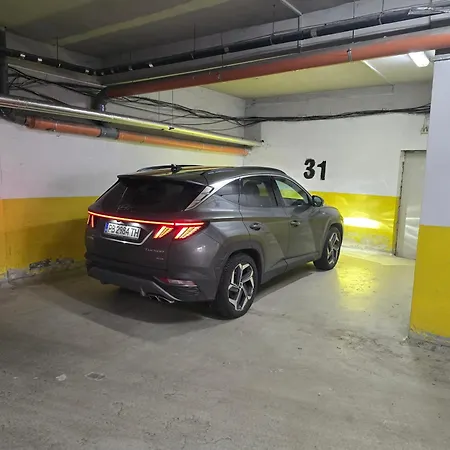 Seasky Smarthome-penthouse With Private Parking Daire Burgaz